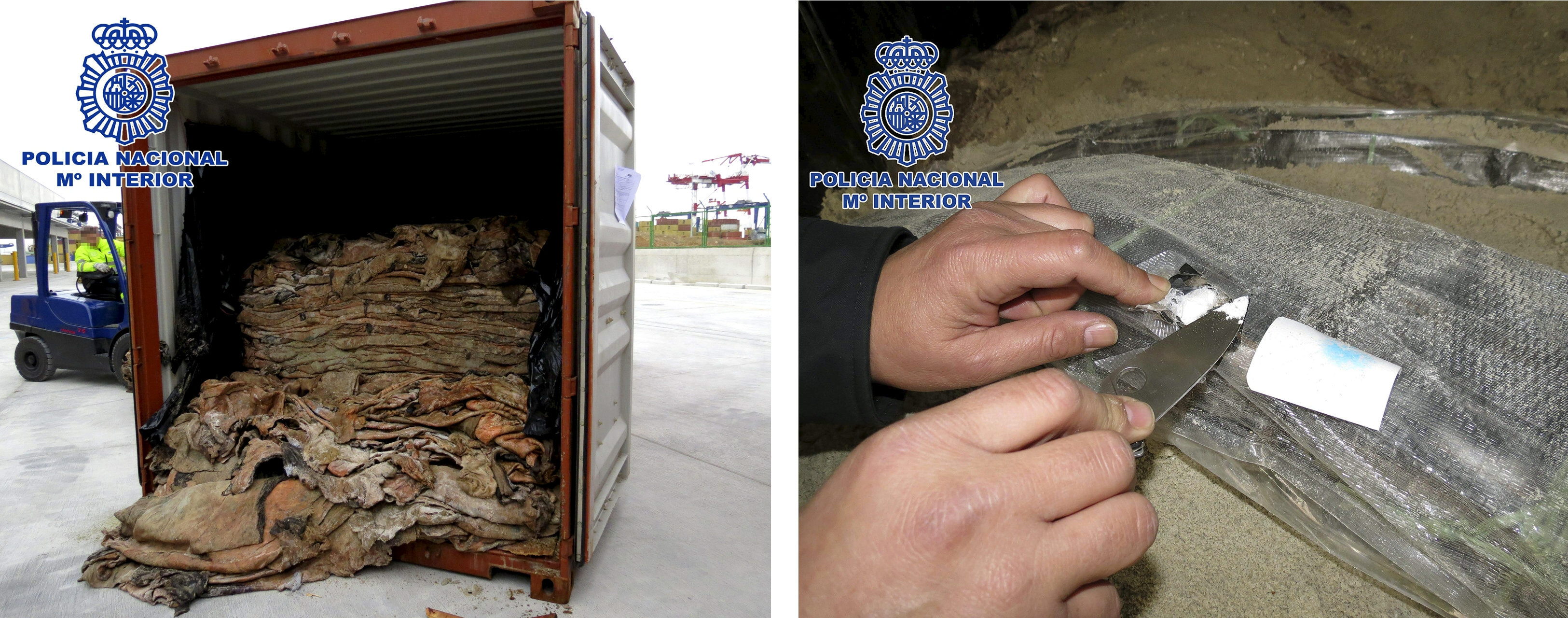 Fotografías facilitadas por la Policía Nacional que ha intervenido 277 kilos de cocaína ocultos en pieles de bovino camuflados en el interior de un contenedor en el puerto de Barcelona y ha detenido a nueve personas gracias a las informaciones que ciudadanos anónimos han proporcionado a través de internet. Los agentes tuvieron conocimiento de la llegada de esta partida de droga a través de diversas denuncias desde el mes de septiembre en la cuenta de correo antidroga@policia.es Fotografías facilitadas por la Policía Nacional que ha intervenido 277 kilos de cocaína ocultos en pieles de bovino camuflados en el interior de un contenedor en el puerto de Barcelona y ha detenido a nueve personas gracias a las informaciones que ciudadanos anónimos han proporcionado a través de internet. Los agentes tuvieron conocimiento de la llegada de esta partida de droga a través de diversas denuncias desde el mes de septiembre en la cuenta de correo antidroga@policia.es