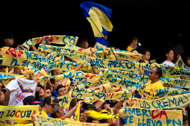 Los americanistas estallaron de felicidad tras el gol de Raúl Jiménez