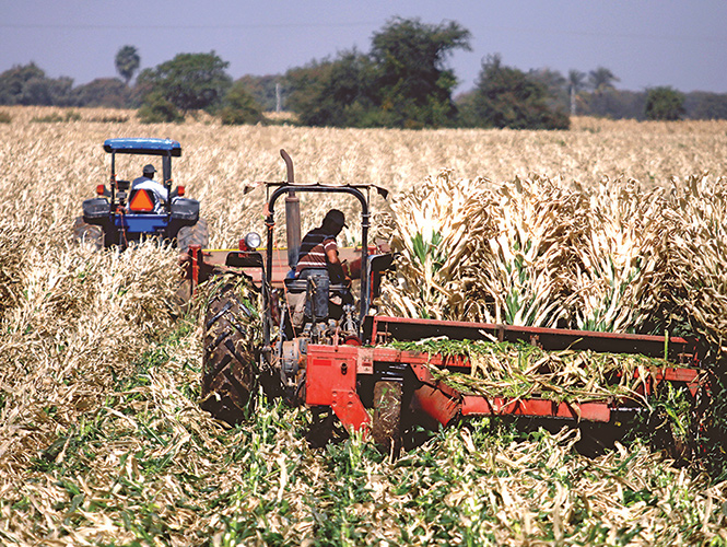 La Secretaría de Agricultura espera que el año entrante será cuando el Congreso de la Unión concrete una gran reforma del campo mexicano. Foto: Cuartoscuro