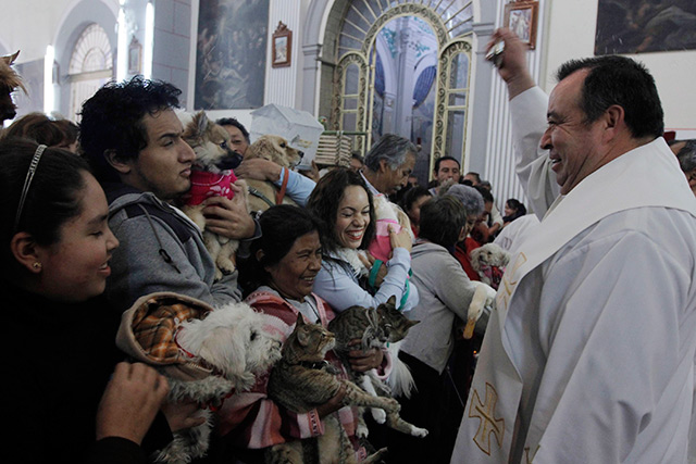 Decenas de feligreses acuden acompañados de perros, gatos, hurones, gansos, tortugas y demás mascotas a celebrar misa y recibir la bendición.