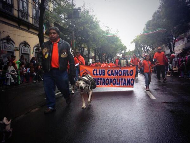 Estuvo presente el Club Canófilo Metropolitano. Estuvo presente el Club Canófilo Metropolitano.