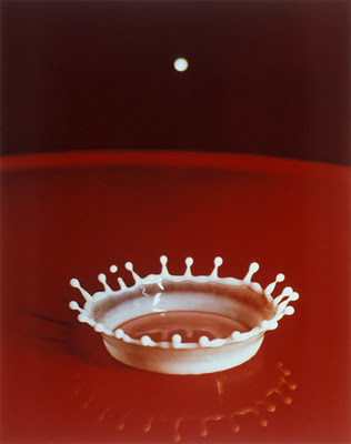 El impacto de una gota de leche. Foto ESPECIAL El impacto de una gota de leche. Foto ESPECIAL