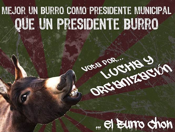 burro-chon-100613-1.jpg