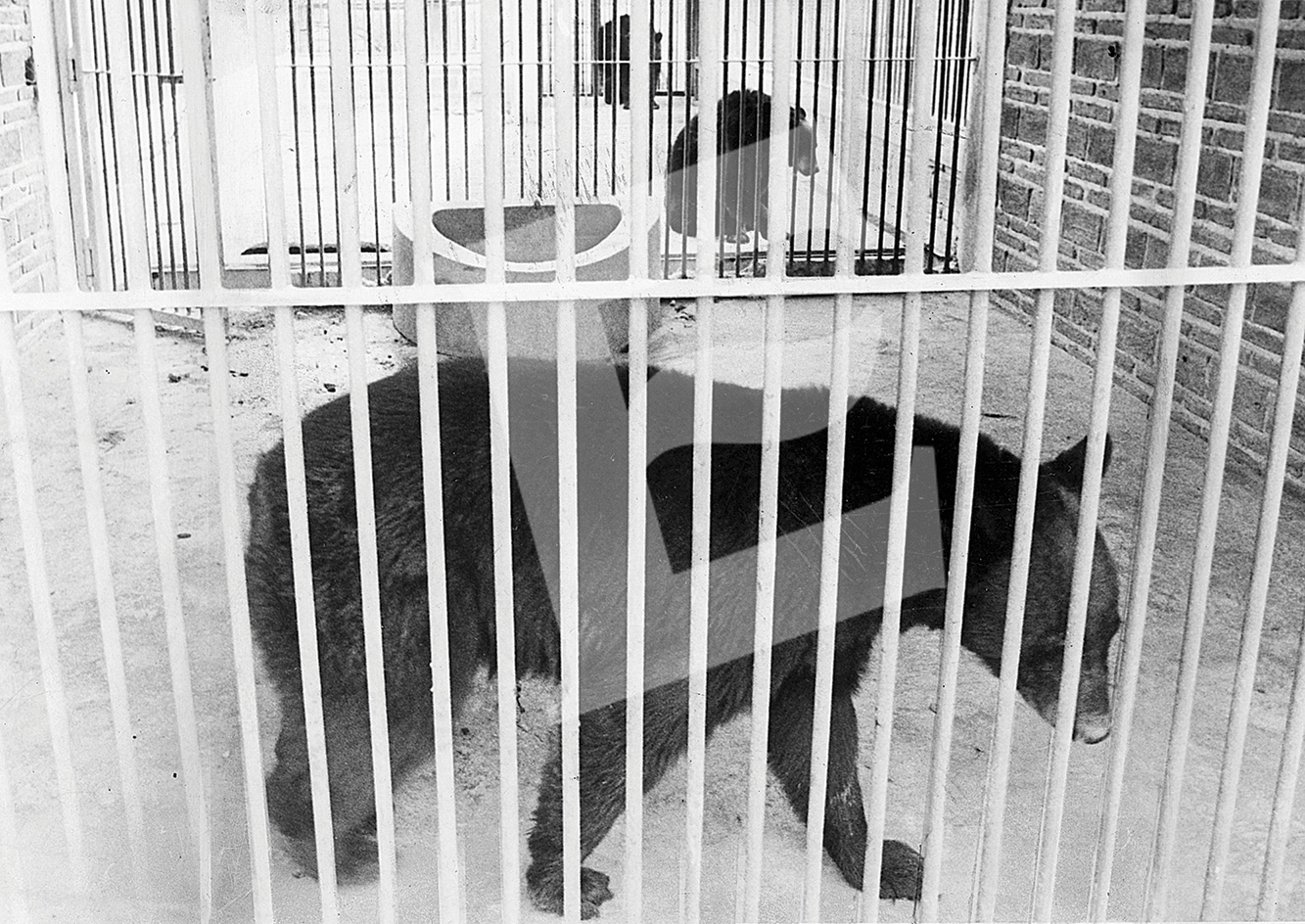 Foto 11 de junio de 1993. Archivo Histórico de Excélsior. Foto 11 de junio de 1993. Archivo Histórico de Excélsior.