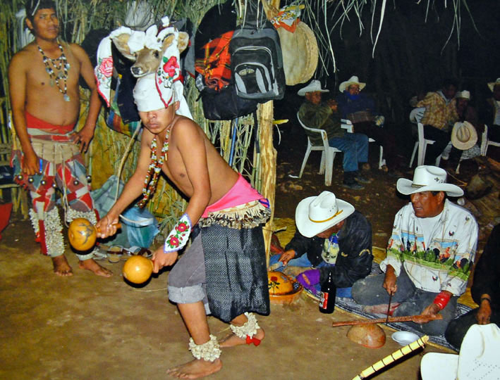 En el noroeste del país, por ejemplo, existe todo un mosaico de grupos, lenguas, patrones, territorialidad y ritualidad, destacó el también doctor en Antropología lingüística. Foto: INAH