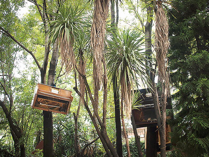 La pieza Matanga fue presentada con pianolas y un piano de cola suspendidos de los árboles de un jardín. La pieza Matanga fue presentada con pianolas y un piano de cola suspendidos de los árboles de un jardín.