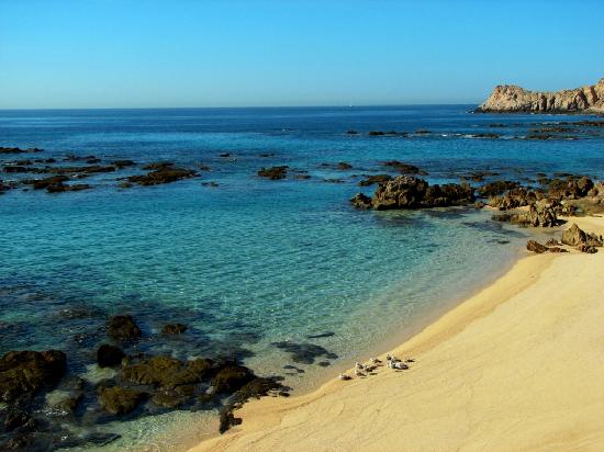 playas playas