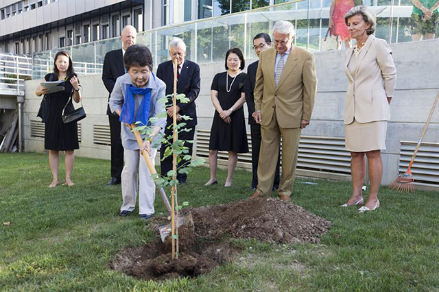 Una superviviente a la bomba atómica en Hiroshima en 1945, Hiroko Miyahara, planta un esqueje descendiente del árbol "Ginko biloba" de 200 años de edad, superviviente al ataque nuclear.