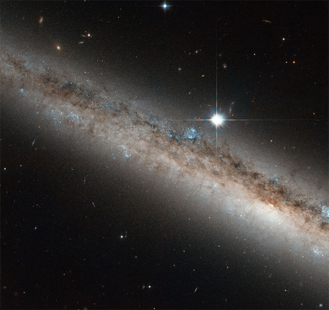 Un poco más grande que nuestra Vía Láctea, la galaxia espiral llamada NGC 4517 se ve coronada por una estrella muy brillante en una imagen tomada por el Hubble. Foto NASA Un poco más grande que nuestra Vía Láctea, la galaxia espiral llamada NGC 4517 se ve coronada por una estrella muy brillante en una imagen tomada por el Hubble. Foto NASA
