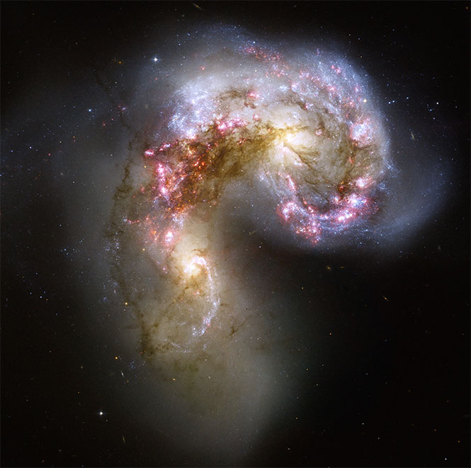 La galaxia de Las antenas en colisión, tomada por el Hubble. Foto NASA La galaxia de Las antenas en colisión, tomada por el Hubble. Foto NASA