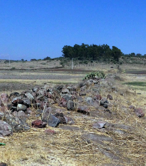 El INAH informó sobre el cerro Coatepec, un sitio que el pueblo azteca considera sagrado dado que allí nació su principal deidad, Huiztilopochtli, el dios de la guerra y del sol.