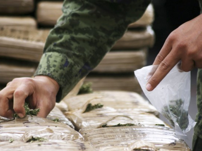 Ejército decomisa mil kilos de mariguana y destruye 341 plantíos en Sonora Droga_p_0