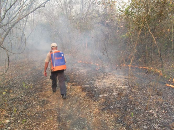 Segob emite declaratoria de emergencia para SLP por incendios