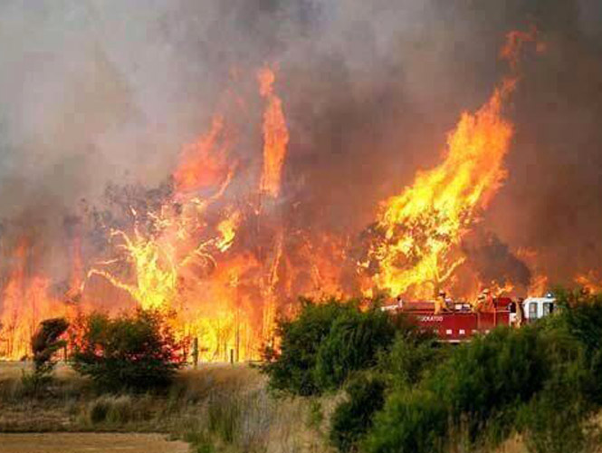 El fuego ha consumido casi 4 mil hectáreas en la Huasteca potosina