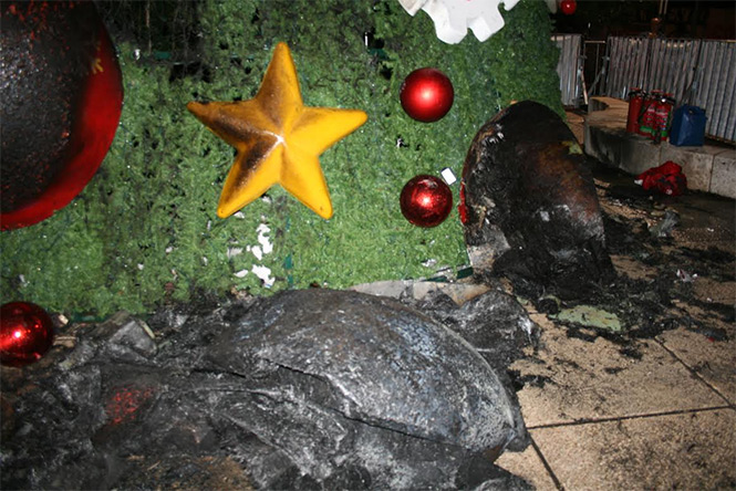 El árbol de navidad de una empresa refresquera que se encontraba instalado en el cruce de avenida Paseo de la Reforma e Insurgentes, fue incendiado. Foto Belen Kemchs El árbol de navidad de una empresa refresquera que se encontraba instalado en el cruce de avenida Paseo de la Reforma e Insurgentes, fue incendiado. Foto Belen Kemchs