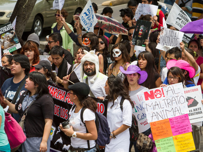El PAN-DF señala que la ciudad necesita salvaguardar su espacio público sin que ello signifique limitar los derechos de manifestación El PAN-DF señala que la ciudad necesita salvaguardar su espacio público sin que ello signifique limitar los derechos de manifestación