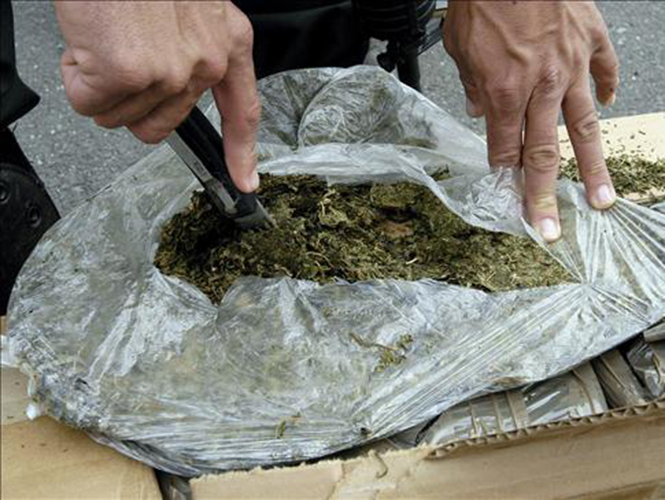 La droga asegurada se podrían obtener hasta 445 mil 400 dosis. La droga asegurada se podrían obtener hasta 445 mil 400 dosis.