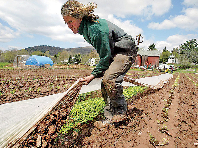 Empresarios de Carolina del Sur pidieron legalizar a los migrantes, su principal mano de obra en construcción, turismo y agricultura. Foto: The New York Times
