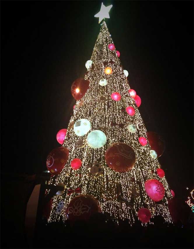 Alrededor de las 19:00 horas de este viernes, fueron encendidos el árbol navideño de 40 metros de alto. Foto @_Karriina Alrededor de las 19:00 horas de este viernes, fueron encendidos el árbol navideño de 40 metros de alto. Foto @_Karriina