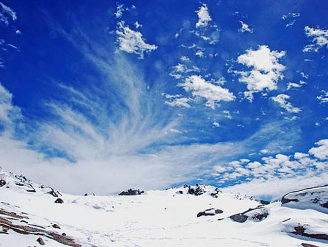 paraíso paraíso