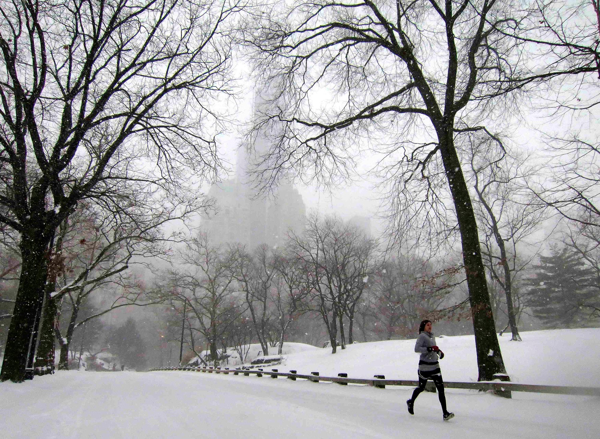 La declaración del estado de emergencia incluye la mayor parte de la zona urbana de la ciudad de Nueva York, afectada por una tenaz nevada que hasta el momento causó la cancelación de tres mil 263 vuelos en Estados Unidos.