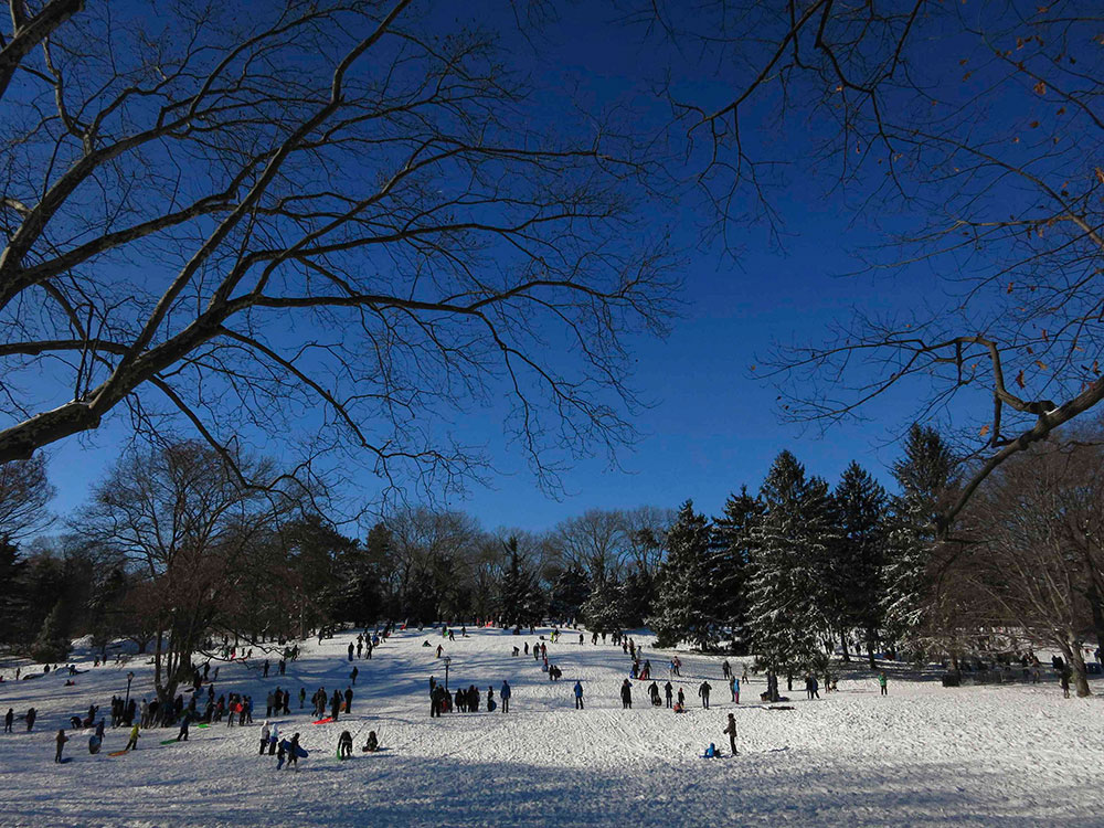 En Central Park, familias enteras se reunieron para disfrutar de la caída de nieve en la ciudad.