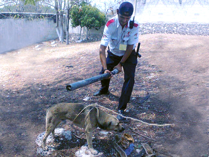 IMAGEN GUARDIA SEGURIDAD imagen guardia seguridad: