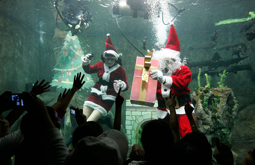 Buzos disfrazados como el señor y la señora Claus nadan dentro de un tanque en un show para niños en el acuario de Guadalajara. Buzos disfrazados como el señor y la señora Claus nadan dentro de un tanque en un show para niños en el acuario de Guadalajara.