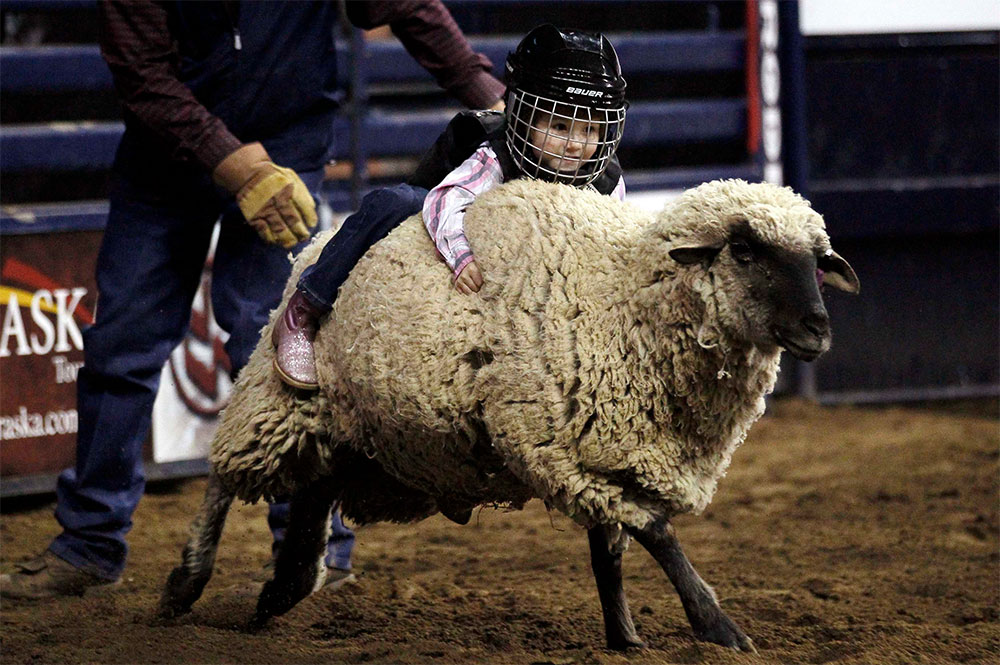 Pequeña jinete. Haley Walker, de cinco años, monta una oveja durante una competición infantil en un rodeo en la ciudad de Denver, Estados Unidos.