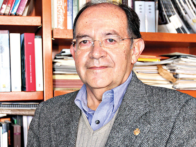 El académico Luis Fernando Lara.
