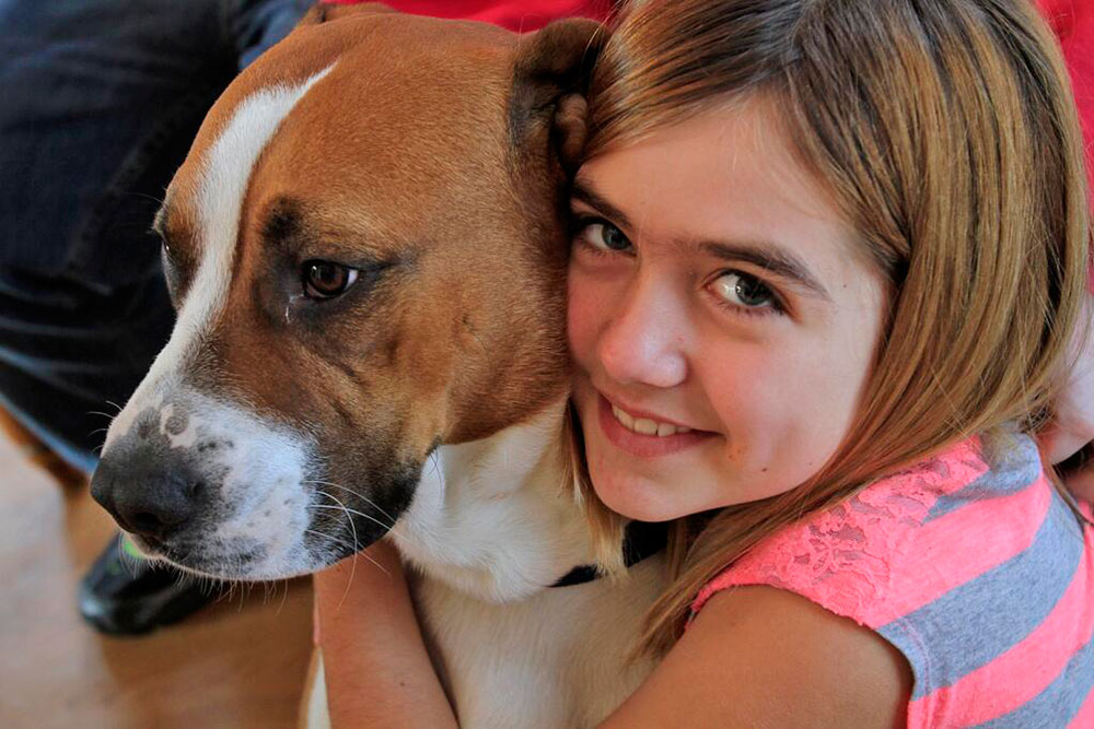 La pequeña Madison de 10 años se reunió de nuevo con su perro después que Rosco, un bóxer de tres años, fuera adoptado por una mujer que lo halló vagando a 72 kilómetros de distancia de su casa luego que un tornado azotó el área de Mellot el mes pasado. / Twitter La pequeña Madison de 10 años se reunió de nuevo con su perro después que Rosco, un bóxer de tres años, fuera adoptado por una mujer que lo halló vagando a 72 kilómetros de distancia de su casa luego que un tornado azotó el área de Mellot el mes pasado. / Twitter