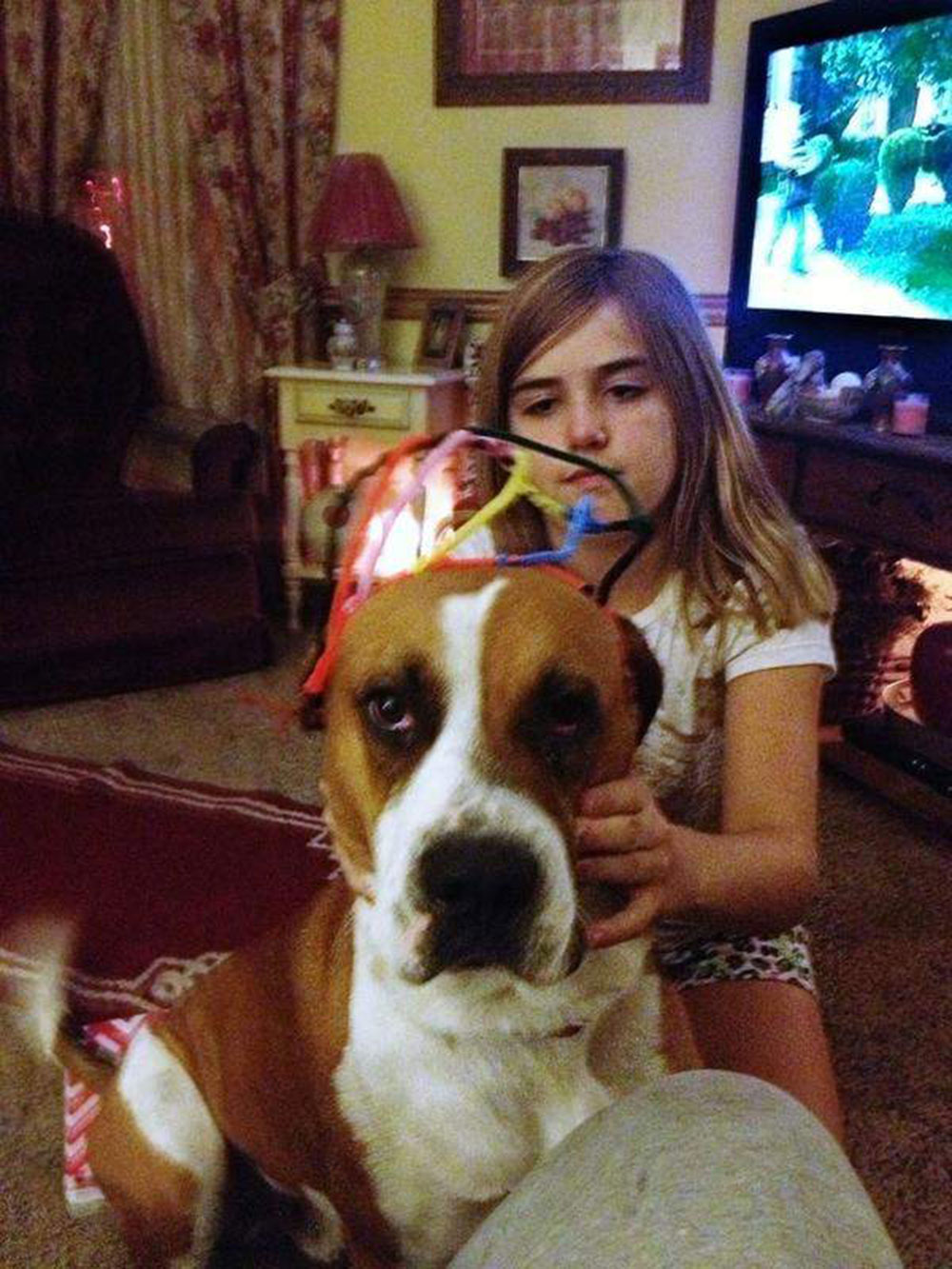 La pequeña Madison de 10 años se reunió de nuevo con su perro después que Rosco, un bóxer de tres años, fuera adoptado por una mujer que lo halló vagando a 72 kilómetros de distancia de su casa luego que un tornado azotó el área de Mellot el mes pasado. / Twitter La pequeña Madison de 10 años se reunió de nuevo con su perro después que Rosco, un bóxer de tres años, fuera adoptado por una mujer que lo halló vagando a 72 kilómetros de distancia de su casa luego que un tornado azotó el área de Mellot el mes pasado. / Twitter