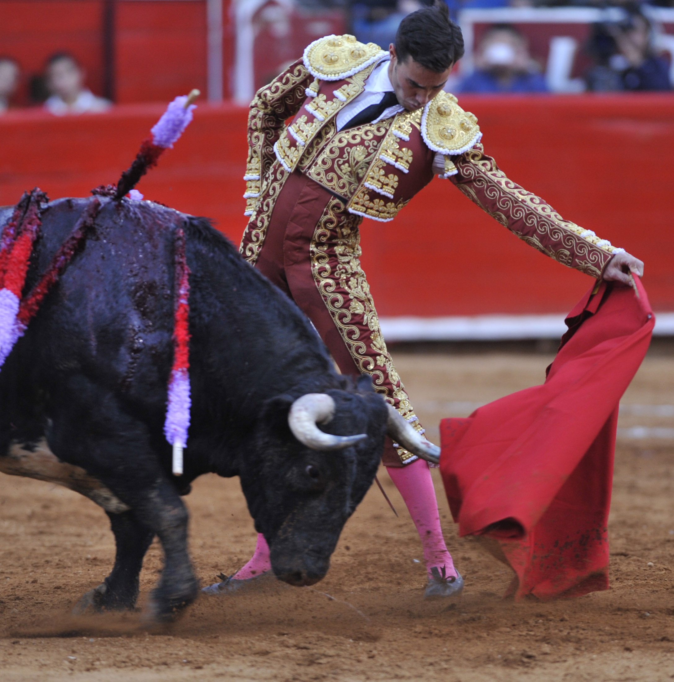 Hugo Lucio Angeles solo los sedientos de sangre y ver un noble astado morir cobardemente en manos de un Hugo Lucio Angeles solo los sedientos de sangre y ver un noble astado morir cobardemente en manos de un