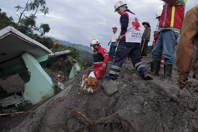 Las lluvias torrenciales registradas en Veracruz, causaron inundaciones y desbordamientos parciales de ríos. Las lluvias torrenciales registradas en Veracruz, causaron inundaciones y desbordamientos parciales de ríos.